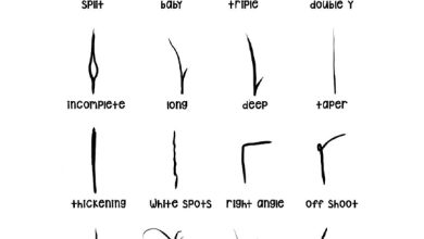 Photo of Как избежать секущихся кончиков