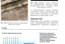 Photo of Секреты здоровых волос