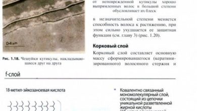 Photo of Секреты здоровых волос