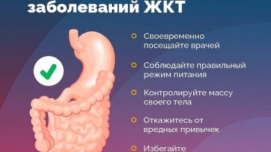 Photo of Здоровье пищеварительной системы: советы
