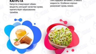 Photo of Здоровье крови: как улучшить состояние